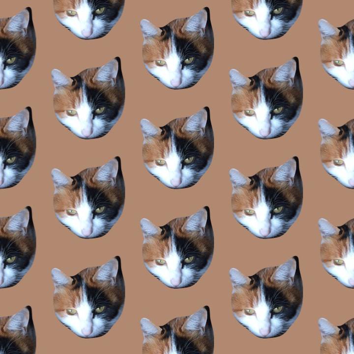 E1d61953 a9b0 4e8a ad55 115a6493b7a6
