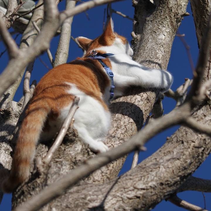 E1d7188a a471 4e89 ac45 87b7eca2fa9b