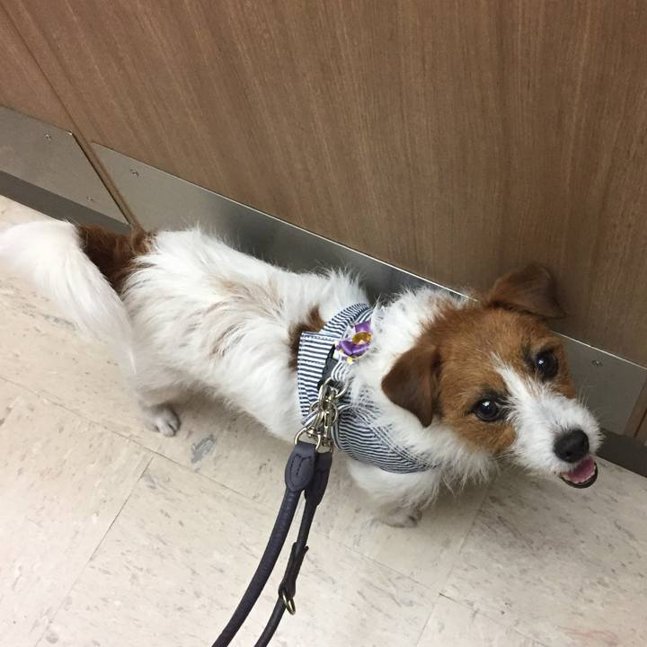 E1d779ab 6b90 44a0 b573 0e2b2786fe6a