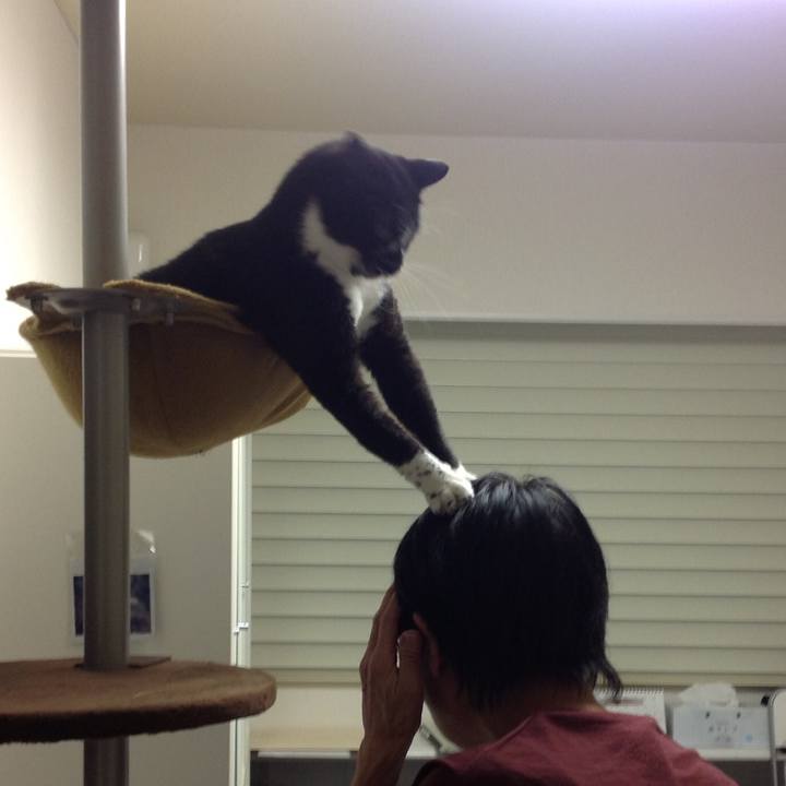 E1d7eb7f 96f6 4bd9 90c8 db6c11f3c80b