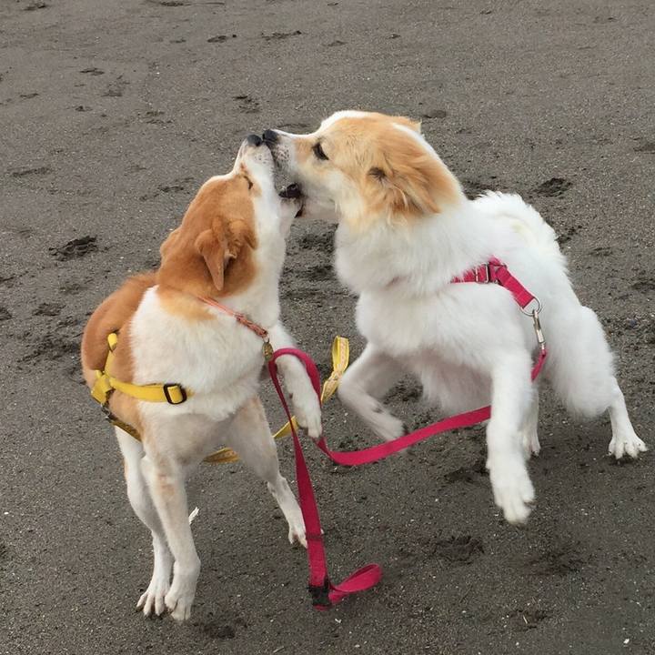 E1d85203 46f9 4c7e 89e8 04205515a657