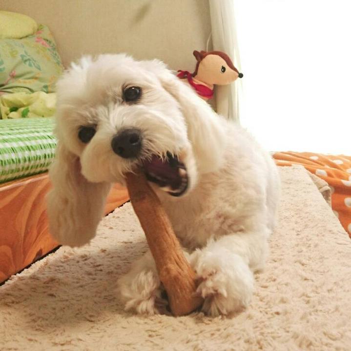 E1d86112 59c7 4e74 b78c c88979f9ca3e