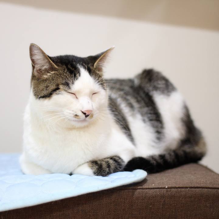 E1d880ba 3aa5 46b2 8d68 1e0e55092d23