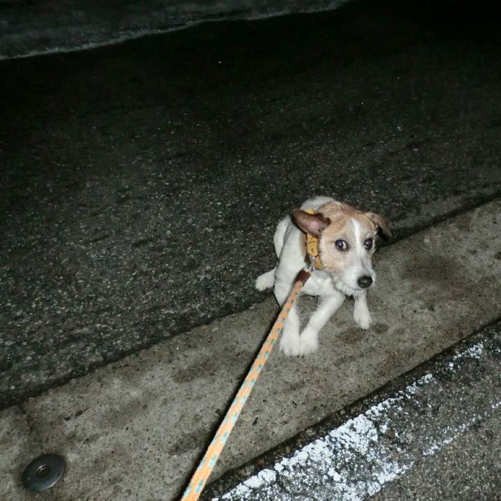 E1d8c33b 252f 4e71 8a53 0464eb97ba56