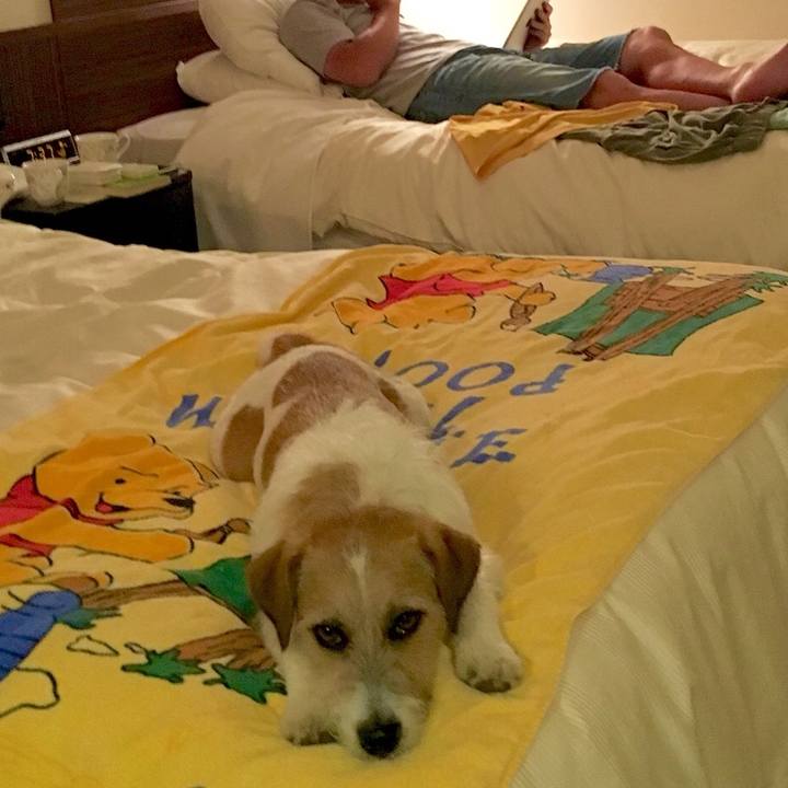 E1d8da4d 2c6a 4cdd 9a7b 3ecbe555783d