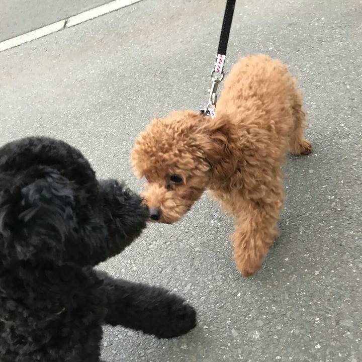 E1d93829 eabc 478f 9f7a 0f38cd521a15