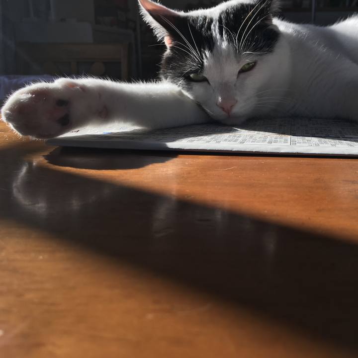 E1d93bbb 9f29 4218 a0f0 79ee920ca38e