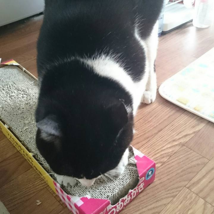 E1d981ad c977 473a b29b 2fb788abe62e