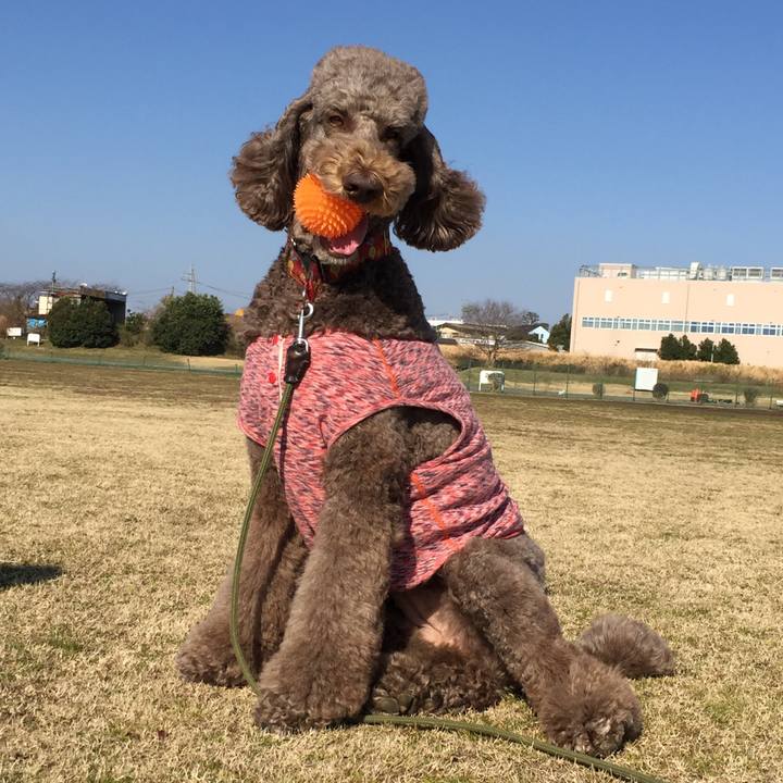 E1d99b7d d18b 4b5b 92f5 53f203610ef0