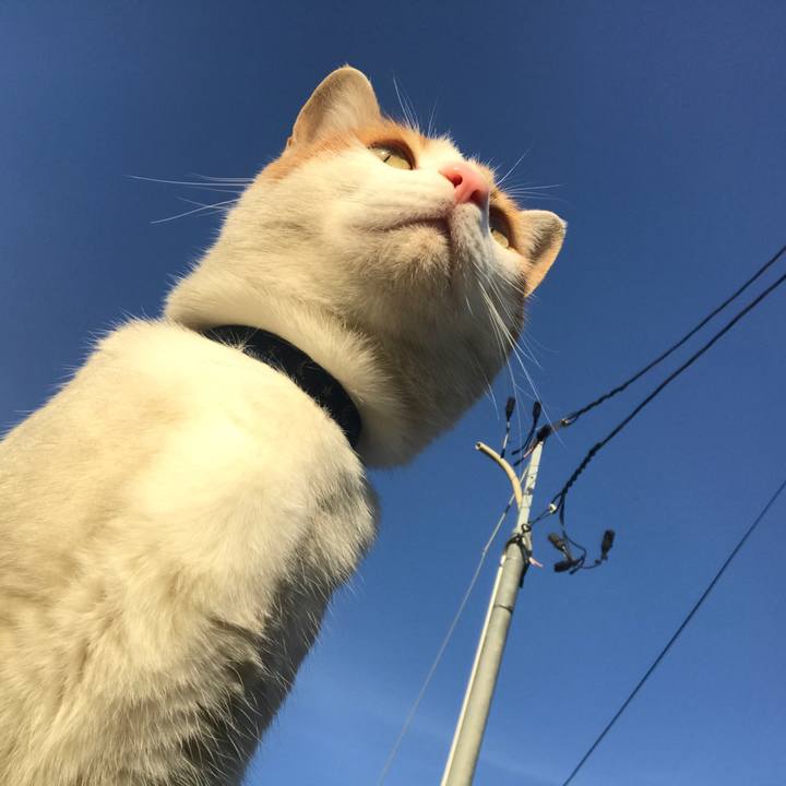 E1d9da5f 1bd0 4b14 99e7 dfbeef9ec405