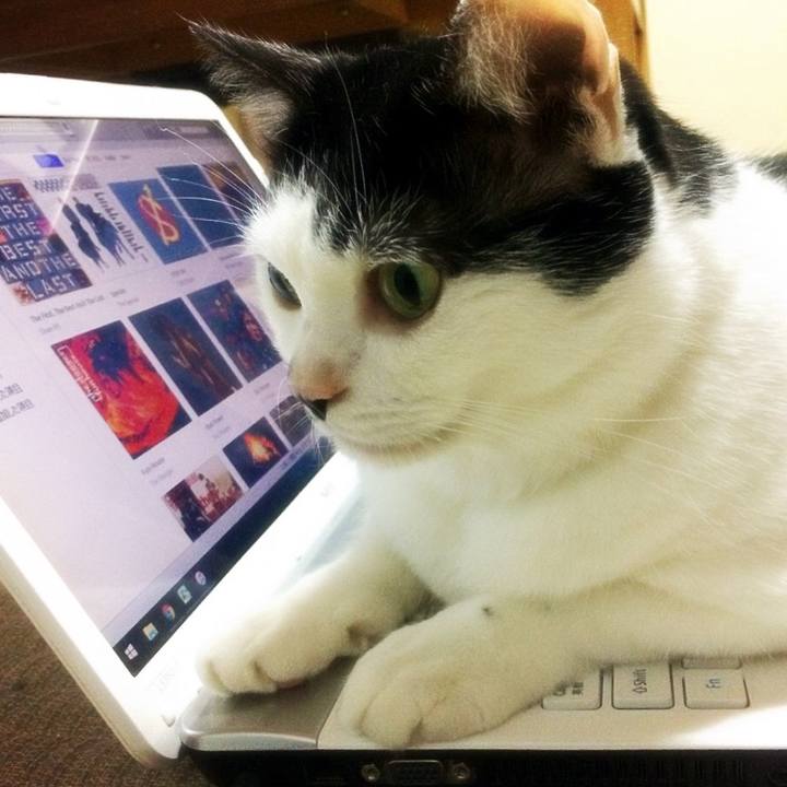 E1da9148 0e8a 4bf4 abc4 b1d3f6068489