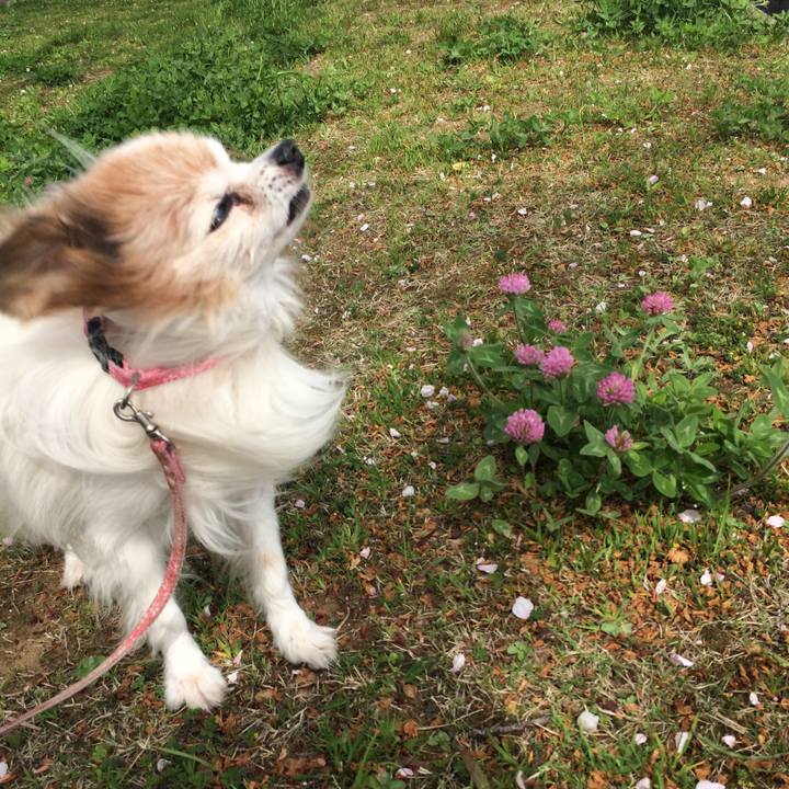 E1daacc7 f782 4791 a847 e861e87f925c