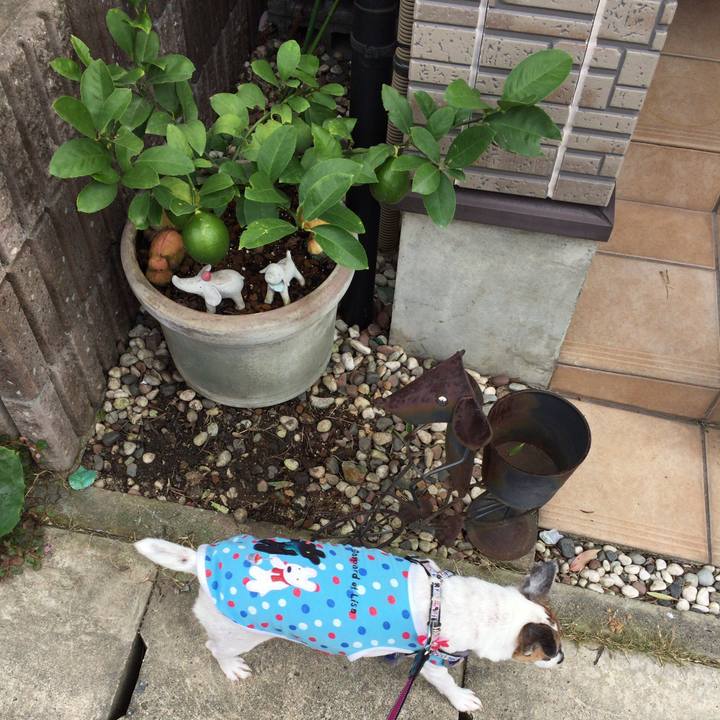 E1dab436 ea20 4f87 9da2 4bf982ae42ba