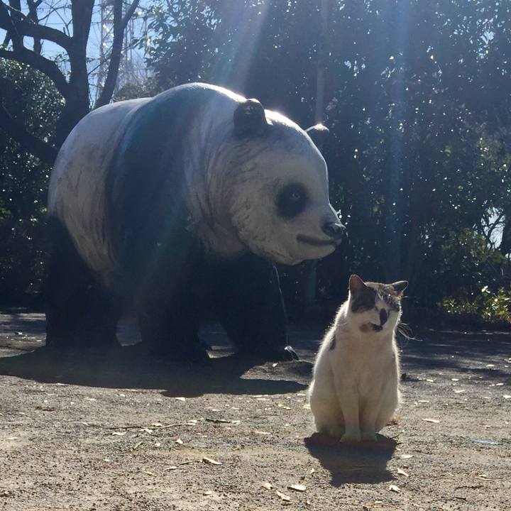 E1dbe7cf b7c9 4da1 90cf 15017e34b3cd