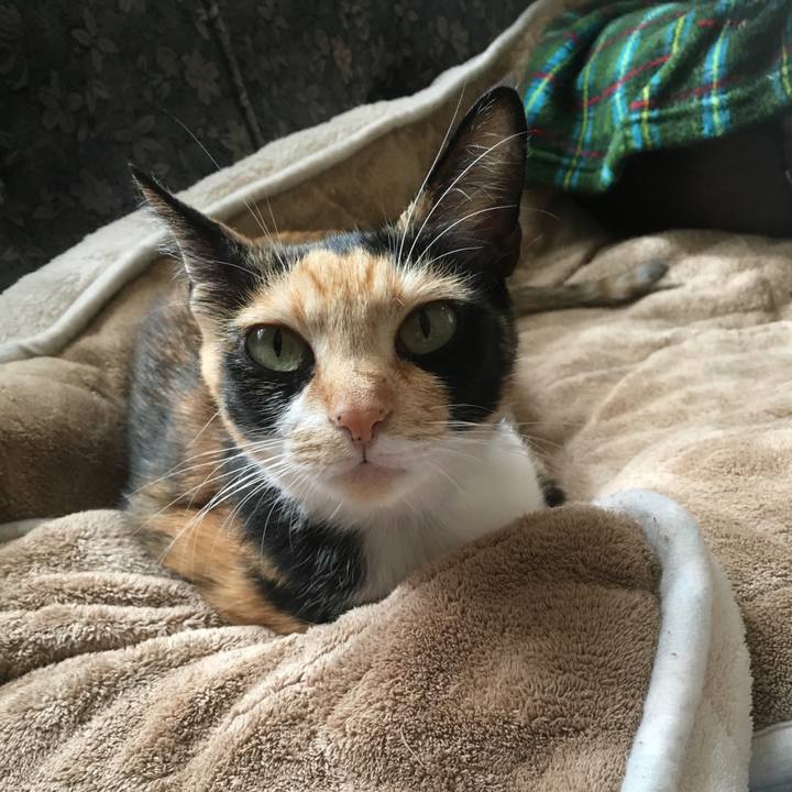 E1dc1d22 8a07 488d 8aac 72a94a3a3245