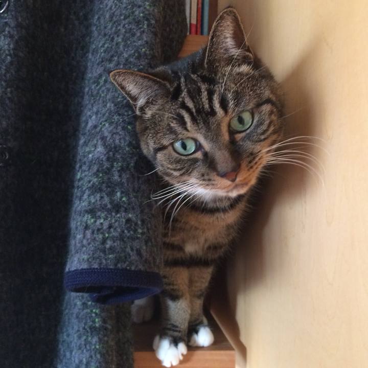 E1dd6da0 f1db 49a2 8847 7a68d8aabb87