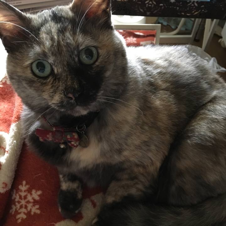 E1de171c b31d 452a 892e 4a8735ef6abd