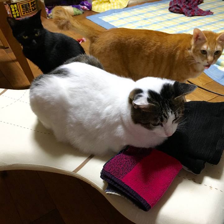 E1de4ee0 eddb 4762 ba9b d92ed2577410