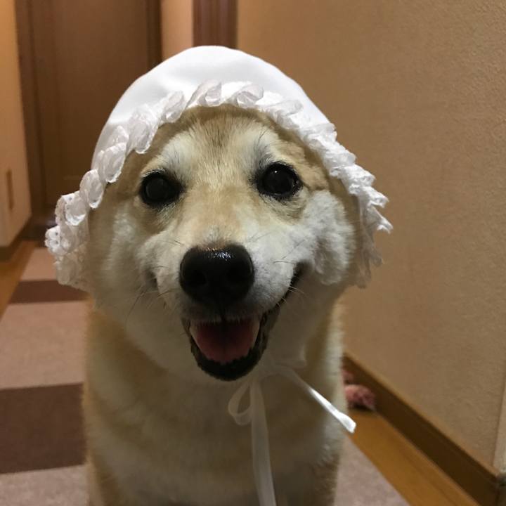 E1de6dc8 3675 486d 98e3 07a3c8496609