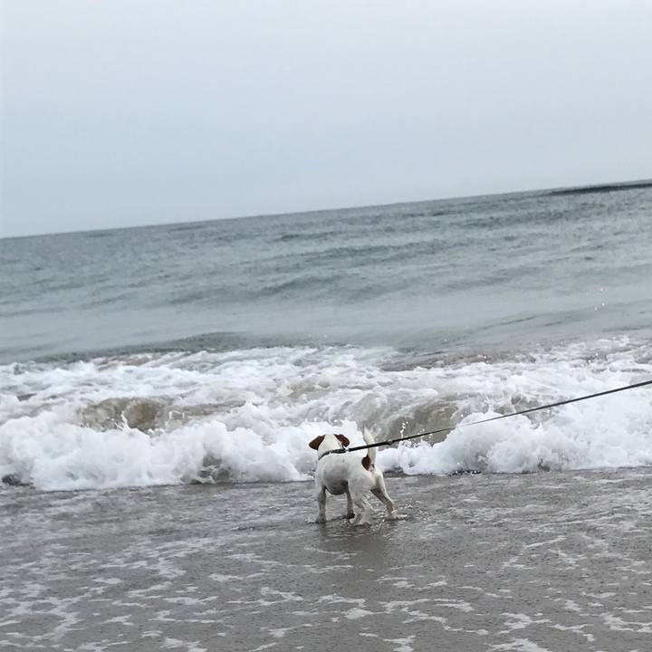 E1dee94a c48e 4c66 b17d c88ba2f39834