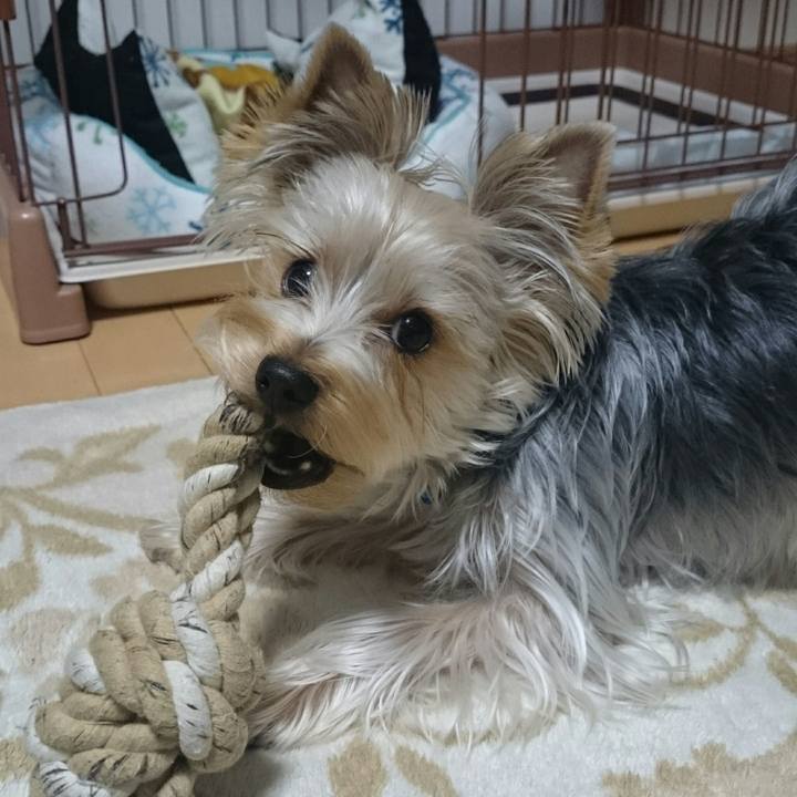 E1deec93 7984 48d0 be98 d9cc95ba74fe