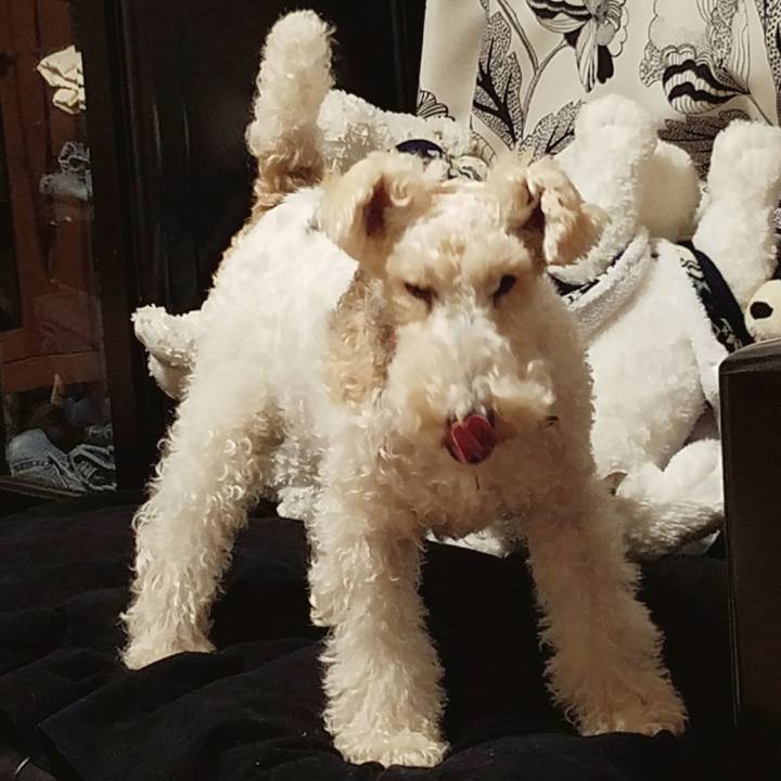 E1def28b ebb0 49f4 8a66 084b85860a42