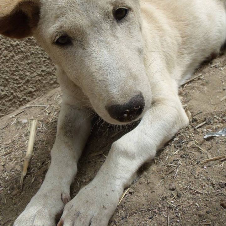 E1df02f0 2159 465b b363 d23c618b4fe4