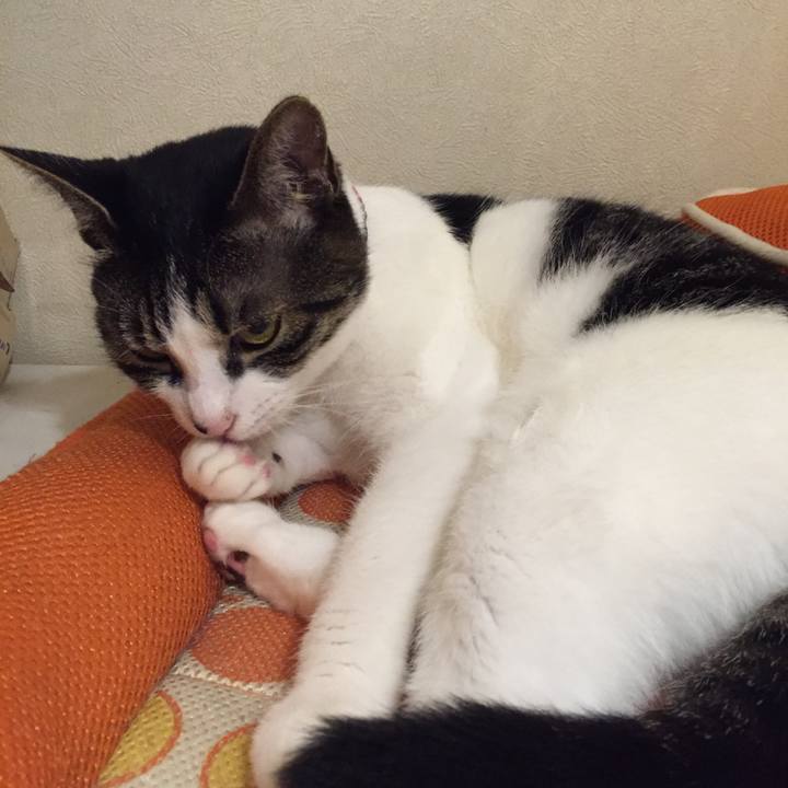 E1e00a9d 69f5 438c 9f89 2c213a0a61b3