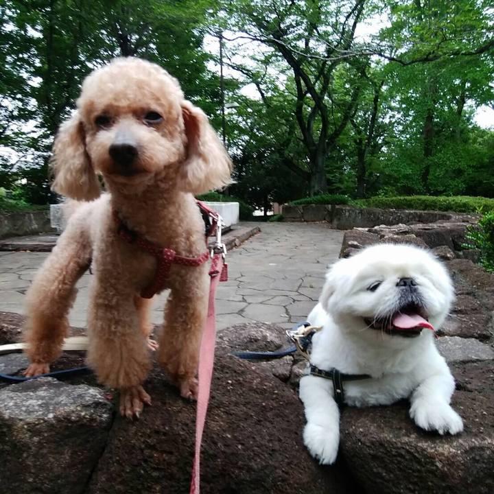 E1e07068 88b2 4f66 a894 04f17bc10e0e