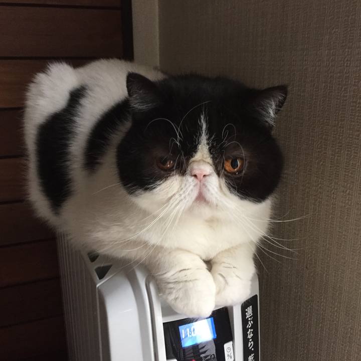 E1e0a791 1c78 4ddb a78f c2639d145781