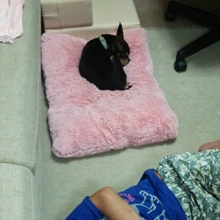 E1e0c138 aaed 46df 9f68 85b200d38b4e