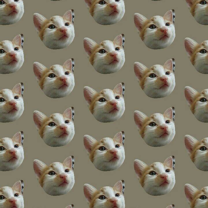E1e147bf 0241 4b43 91b3 3fca53b405ce