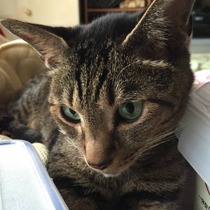 E1e18d14 137f 4363 be6f 239d73cd43e6