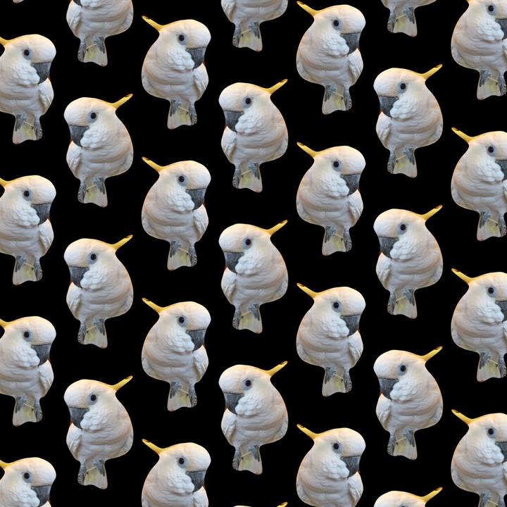 E1e24e4a 6654 40fe 9b26 02b156dd61b9