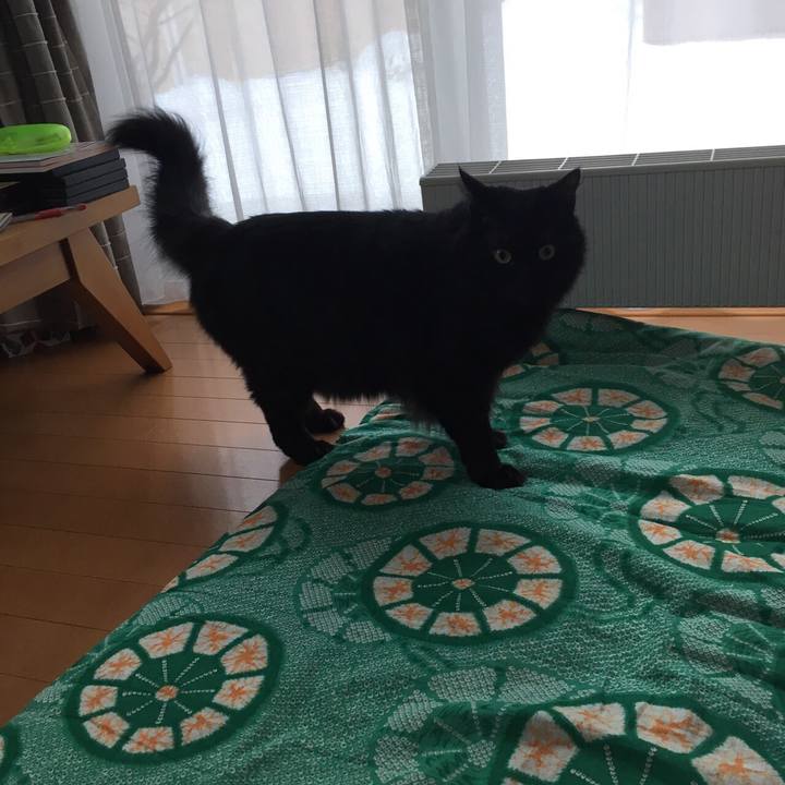 E1e2a6f9 17eb 4cde a93d 418fd07a6c45