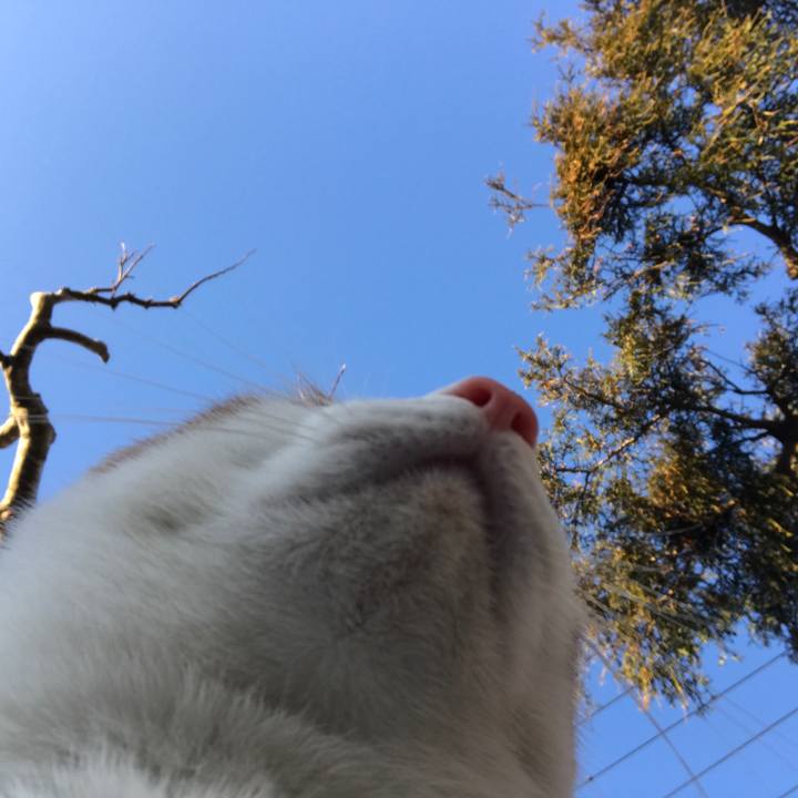 E1e2e604 c27b 4ece 860b c00fec5e3f24