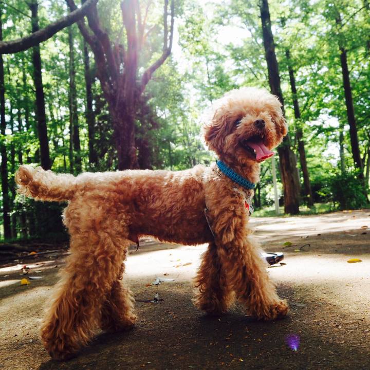 E1e2ede7 0cb3 4b5c a4d9 b4cd989bc025