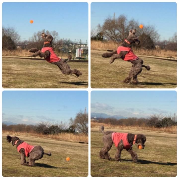 E1e38465 e7e0 4445 81c8 3db2cc73b2ac