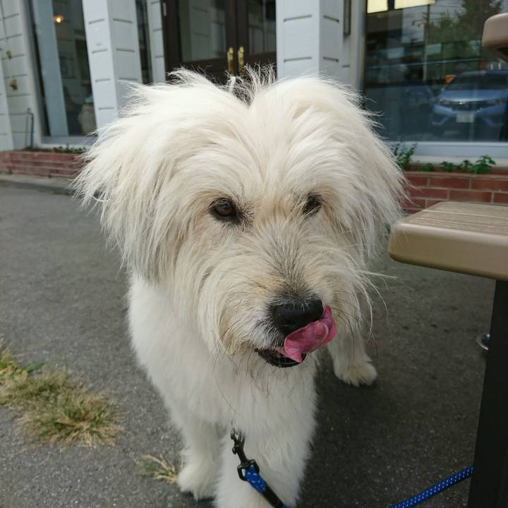 E1e3a84d 56f1 457c 8709 6a802c74c13b