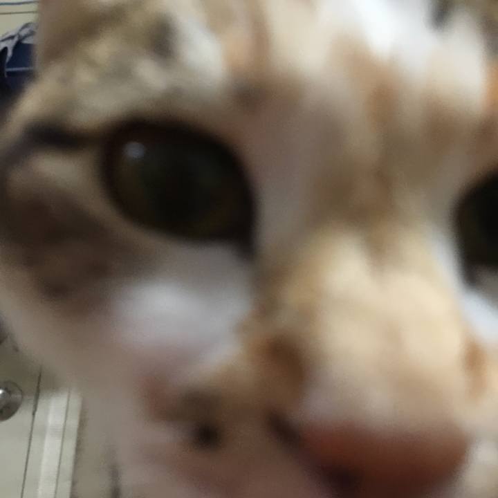 E1e406df 0496 4103 8b6c 2d2d02e7b230