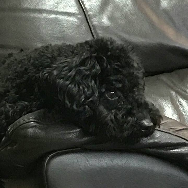 E1e47d57 500d 4779 99a1 596ee6d1a955