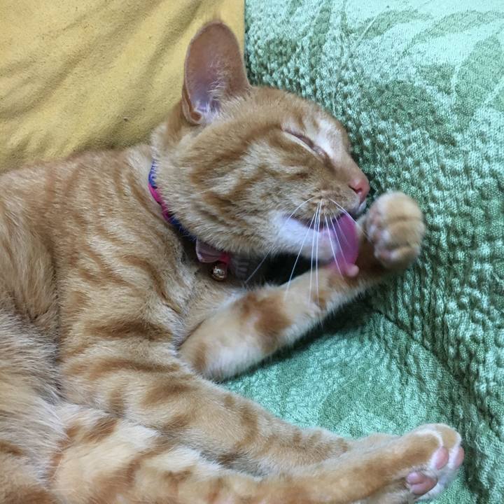 E1e4bd48 be5b 4649 a8bc f000ffe08aec