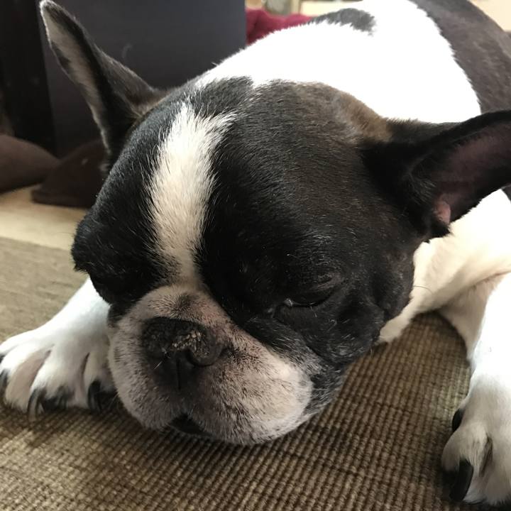 E1e4fcb1 bae4 47a6 b220 056cedeeadf2