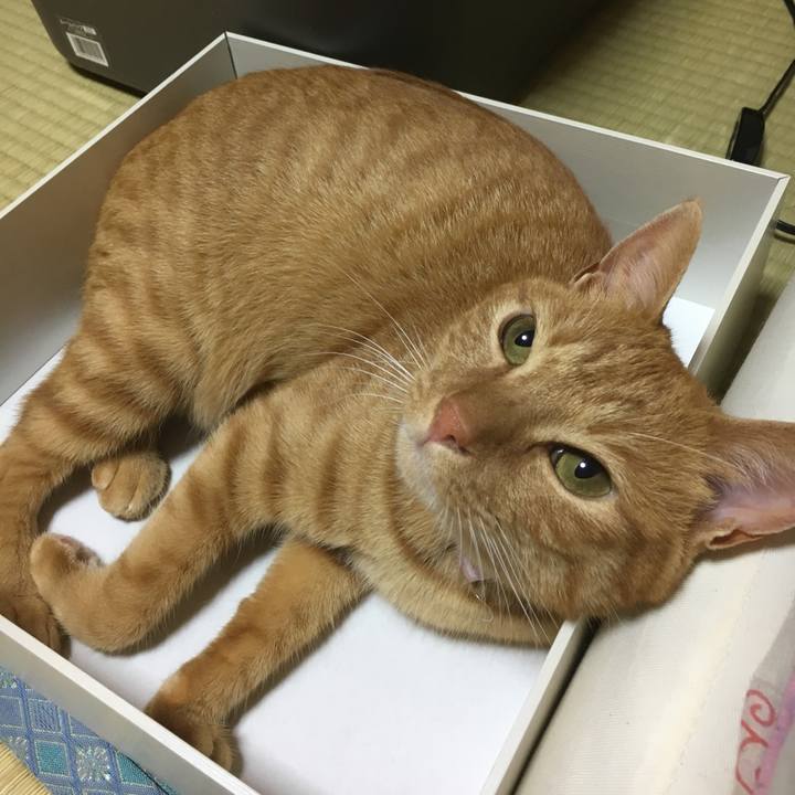 E1e4fcb3 d2e9 443b bade 24030c18b42d