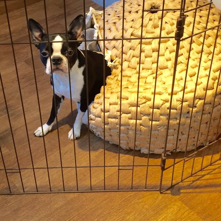 E1e5d58b 1edd 401c 9ba0 c4ea34315850