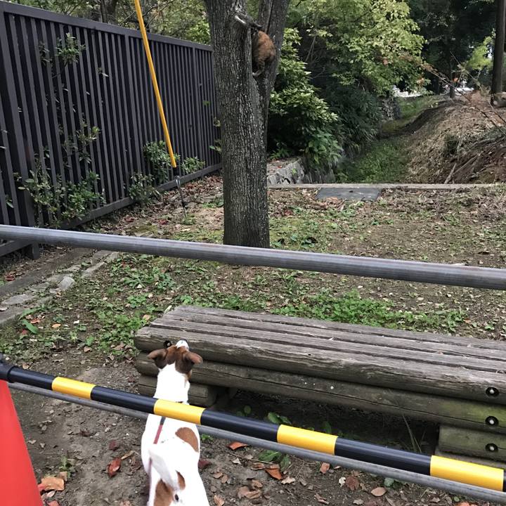 E1e66336 3b13 4af6 afb8 da7441cfdb81