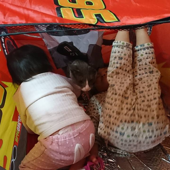 E1e791db ecde 4bbd b860 27291d66fdd1