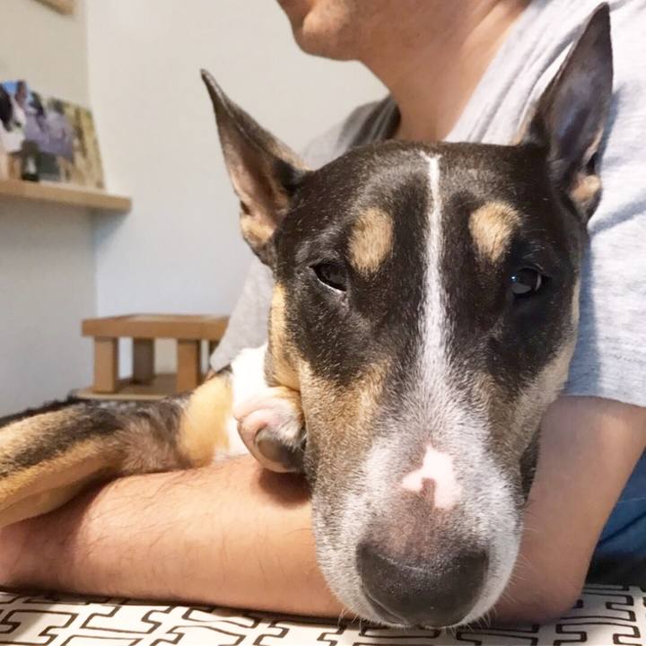 E1e7b32f 745b 4e99 a615 daebd9cc27d9