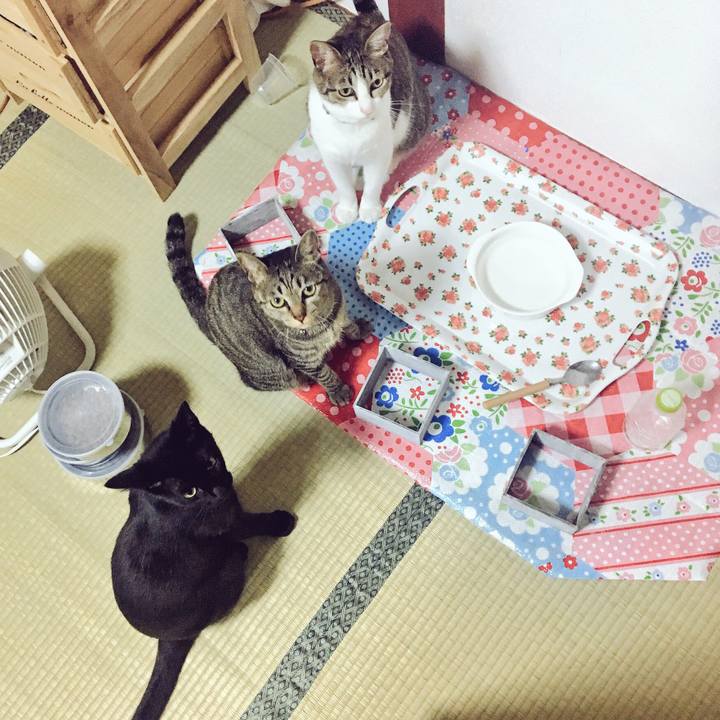 E1e81359 b2bb 4654 8e1b e18137bfc907