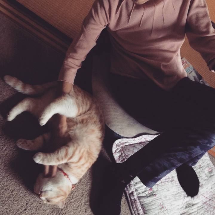 E1e93f25 8549 4ea6 82f5 8c4e3df9ca22